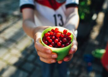 Merienda saludable para el recreo escolar