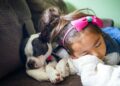 Mascotas para niños